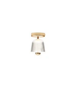 Asteea loftlampe, satin messing/riflet klar