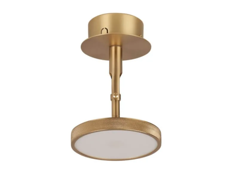 Asteria Spot væglampe / loftlampe, messing