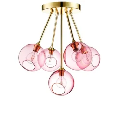 Ballroom Molecule, Rose