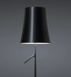 Birdie Lettura LED gulvlampe, grafit