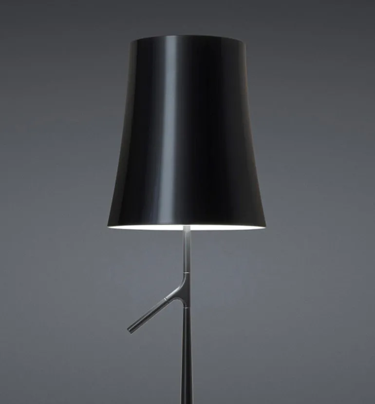 Birdie Lettura LED gulvlampe, grafit