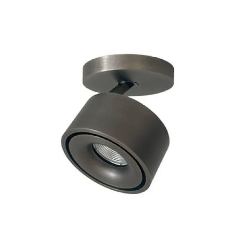 Easy Braccio W100 LED spot, titanium