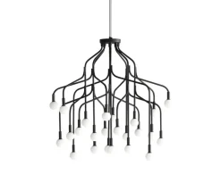 Vekst large lysekrone, sort